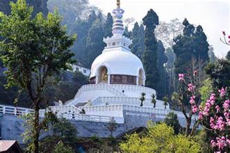 Japanese Peace Pagoda