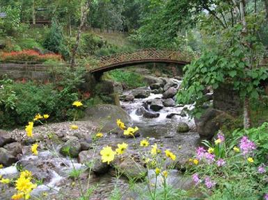 Rock Garden